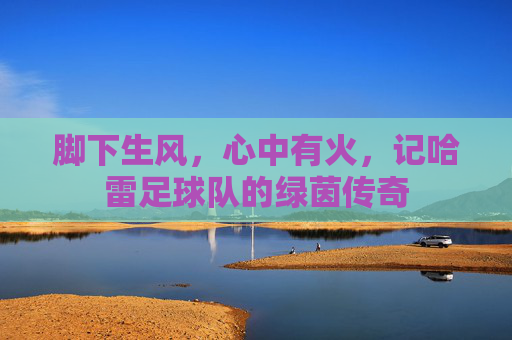 脚下生风，心中有火，记哈雷足球队的绿茵传奇