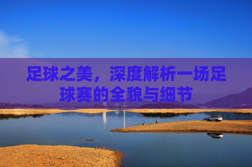 足球之美，深度解析一场足球赛的全貌与细节