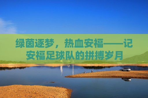 绿茵逐梦，热血安福——记安福足球队的拼搏岁月