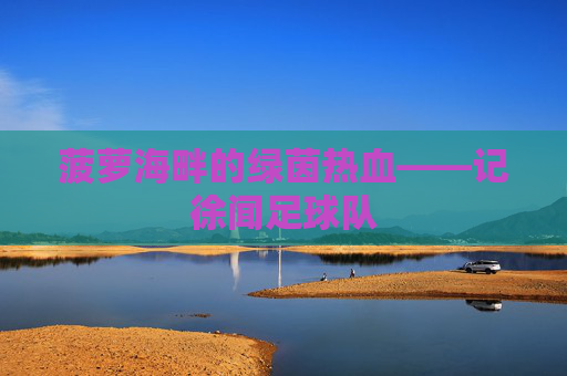 菠萝海畔的绿茵热血——记徐闻足球队