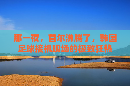 那一夜，首尔沸腾了，韩国足球接机现场的极致狂热