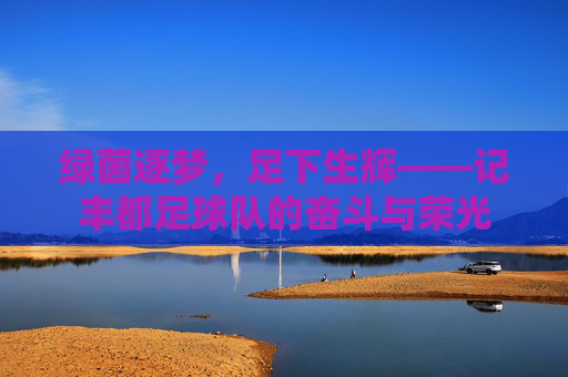 绿茵逐梦，足下生辉——记丰都足球队的奋斗与荣光