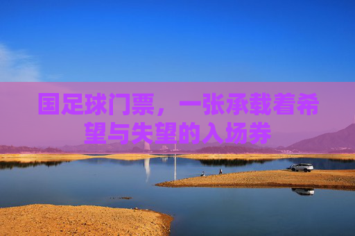 国足球门票，一张承载着希望与失望的入场券