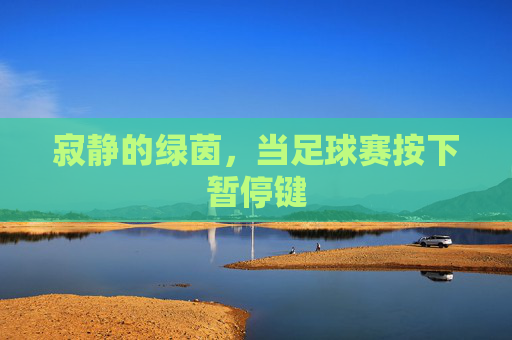 寂静的绿茵，当足球赛按下暂停键