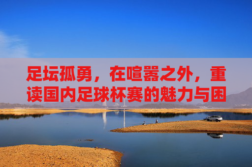 足坛孤勇，在喧嚣之外，重读国内足球杯赛的魅力与困境