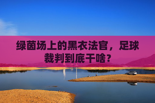 绿茵场上的黑衣法官，足球裁判到底干啥？