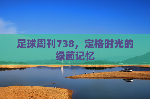 足球周刊738，定格时光的绿茵记忆