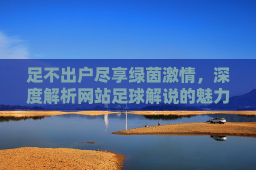 足不出户尽享绿茵激情，深度解析网站足球解说的魅力与未来