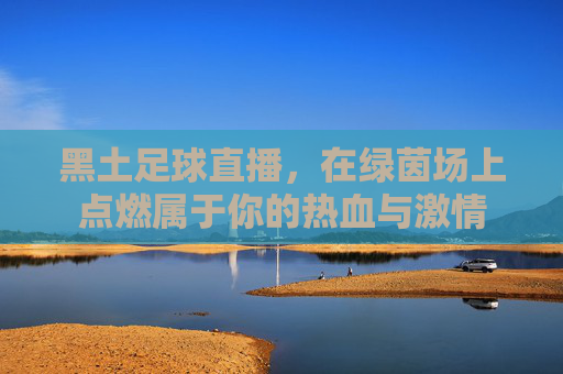 黑土足球直播，在绿茵场上点燃属于你的热血与激情