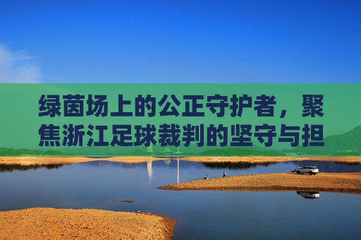 绿茵场上的公正守护者，聚焦浙江足球裁判的坚守与担当