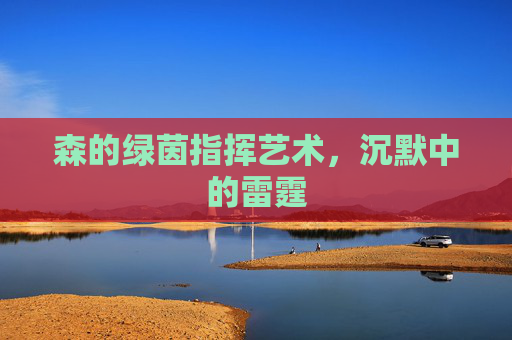 森的绿茵指挥艺术，沉默中的雷霆