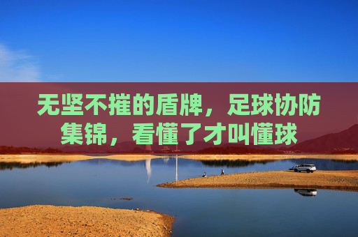 无坚不摧的盾牌，足球协防集锦，看懂了才叫懂球