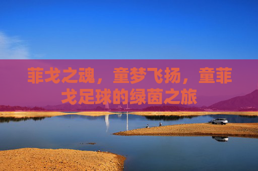 菲戈之魂，童梦飞扬，童菲戈足球的绿茵之旅