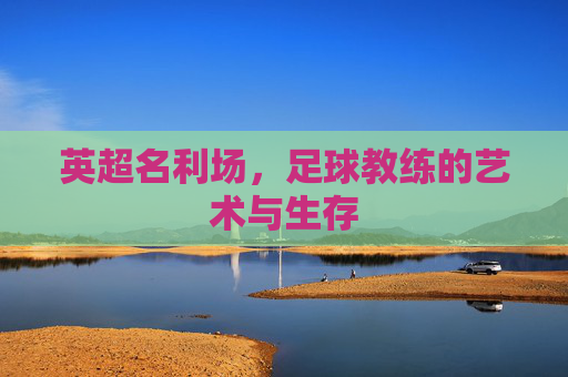 英超名利场，足球教练的艺术与生存