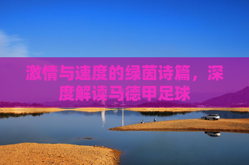 激情与速度的绿茵诗篇，深度解读马德甲足球
