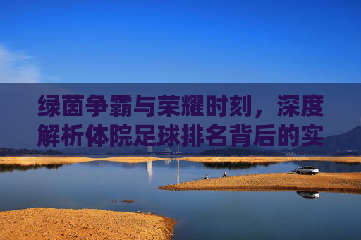 绿茵争霸与荣耀时刻，深度解析体院足球排名背后的实力与风云