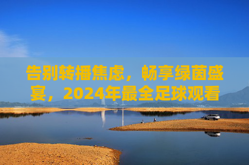 告别转播焦虑，畅享绿茵盛宴，2024年最全足球观看平台指南