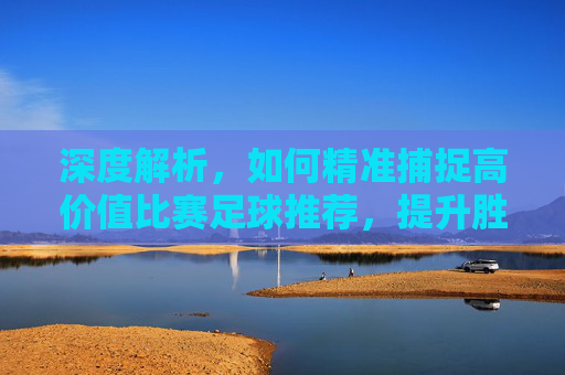 深度解析，如何精准捕捉高价值比赛足球推荐，提升胜率