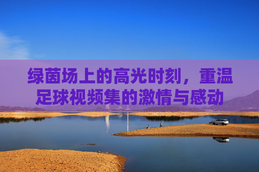 绿茵场上的高光时刻，重温足球视频集的激情与感动
