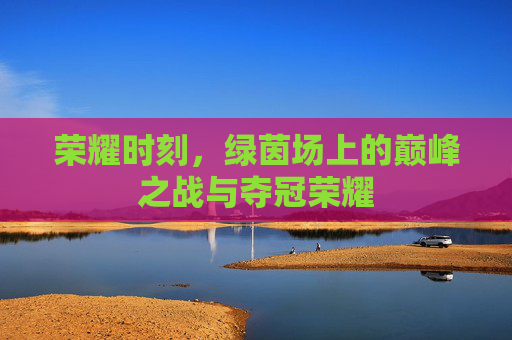 荣耀时刻，绿茵场上的巅峰之战与夺冠荣耀