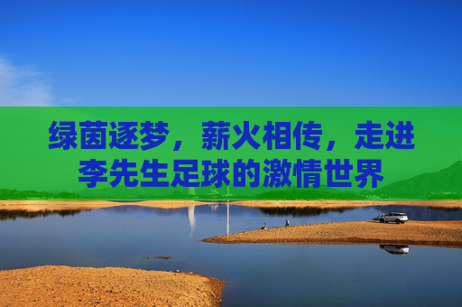 绿茵逐梦，薪火相传，走进李先生足球的激情世界