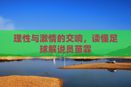 理性与激情的交响，读懂足球解说员苗霖