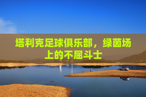 塔利克足球俱乐部，绿茵场上的不屈斗士