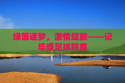 绿茵逐梦，激情绽放——记毕盛足球联赛
