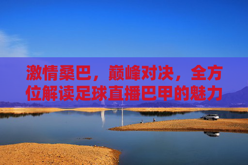 激情桑巴，巅峰对决，全方位解读足球直播巴甲的魅力