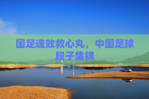 国足速效救心丸，中国足球段子集锦