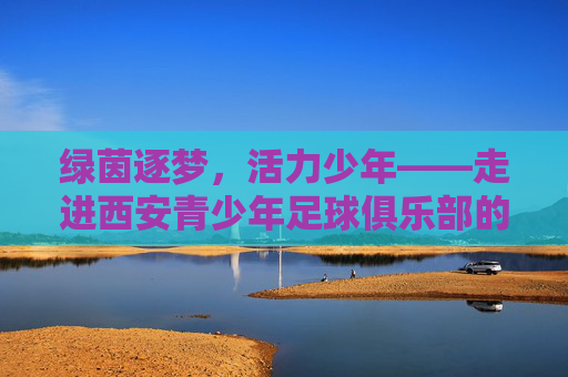 绿茵逐梦，活力少年——走进西安青少年足球俱乐部的世界