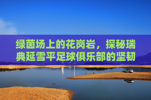 绿茵场上的花岗岩，探秘瑞典延雪平足球俱乐部的坚韧之路