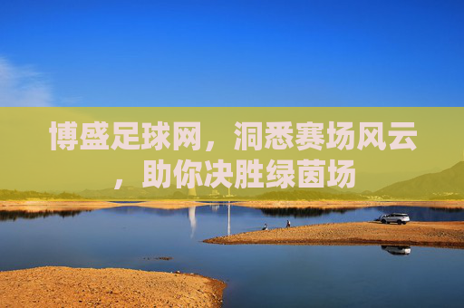 博盛足球网，洞悉赛场风云，助你决胜绿茵场