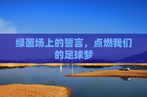 绿茵场上的誓言，点燃我们的足球梦