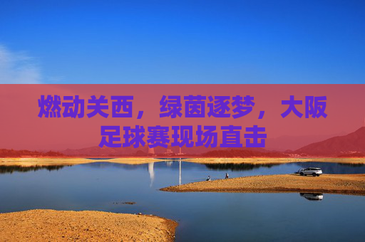 燃动关西，绿茵逐梦，大阪足球赛现场直击