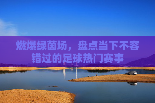 燃爆绿茵场，盘点当下不容错过的足球热门赛事