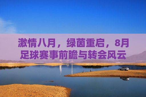 激情八月，绿茵重启，8月足球赛事前瞻与转会风云