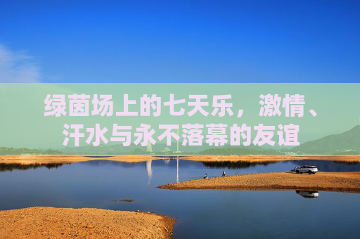 绿茵场上的七天乐，激情、汗水与永不落幕的友谊