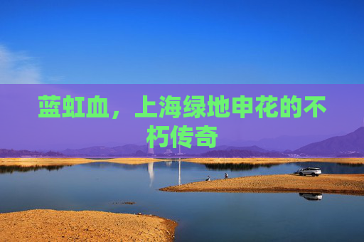 蓝虹血，上海绿地申花的不朽传奇