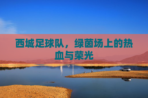 西城足球队，绿茵场上的热血与荣光