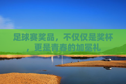 足球赛奖品，不仅仅是奖杯，更是青春的加冕礼