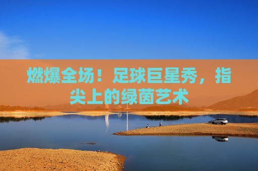 燃爆全场！足球巨星秀，指尖上的绿茵艺术