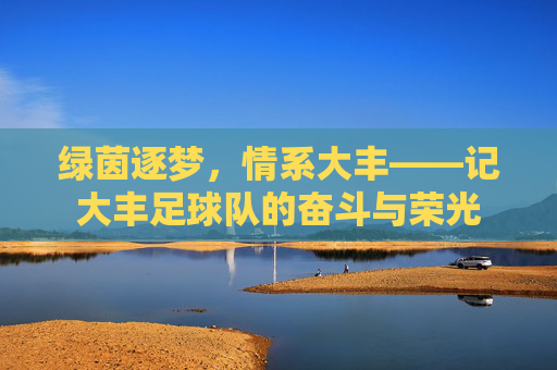 绿茵逐梦，情系大丰——记大丰足球队的奋斗与荣光