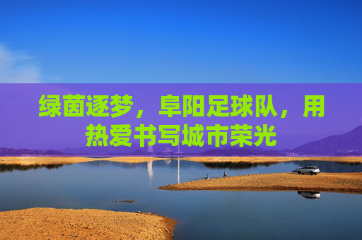绿茵逐梦，阜阳足球队，用热爱书写城市荣光