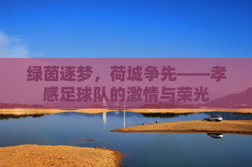 绿茵逐梦，荷城争先——孝感足球队的激情与荣光