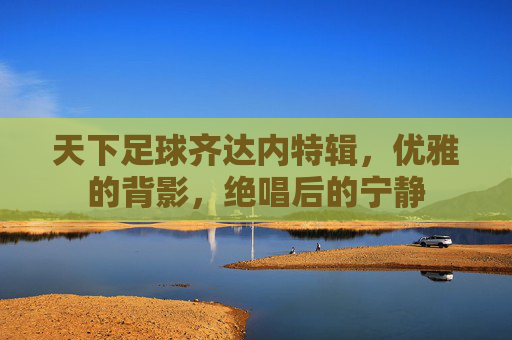 天下足球齐达内特辑，优雅的背影，绝唱后的宁静