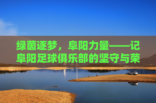 绿茵逐梦，阜阳力量——记阜阳足球俱乐部的坚守与荣光