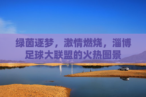 绿茵逐梦，激情燃烧，淄博足球大联盟的火热图景