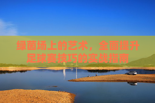 绿茵场上的艺术，全面提升足球赛技巧的实战指南