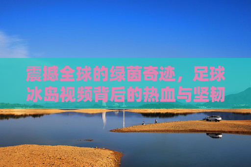 震撼全球的绿茵奇迹，足球冰岛视频背后的热血与坚韧